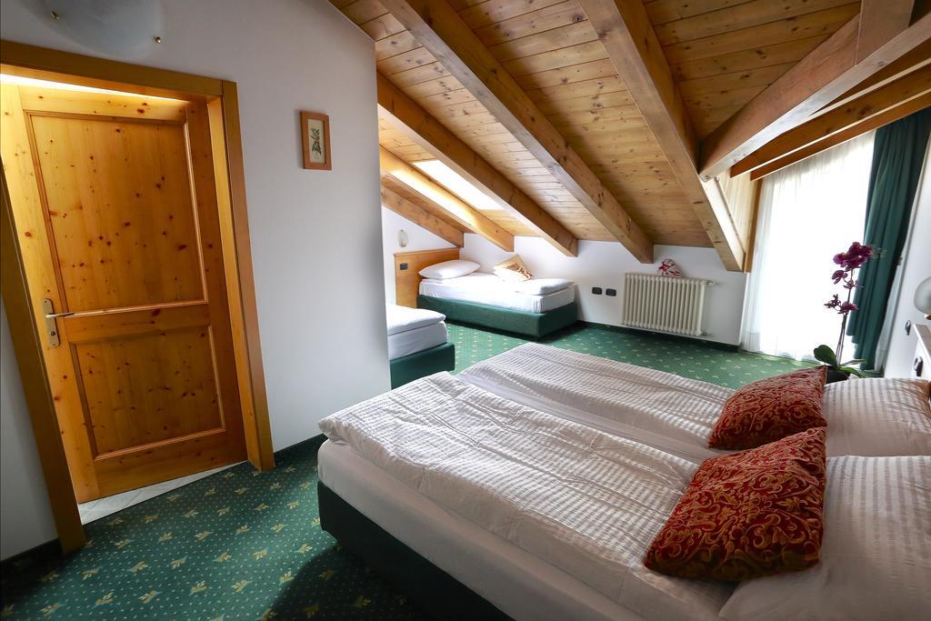 דימארו Alp Hotel Dolomiti מראה חיצוני תמונה